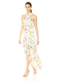 Parker Fillipa Sleeveless Full Length Silk Dress at Amazon